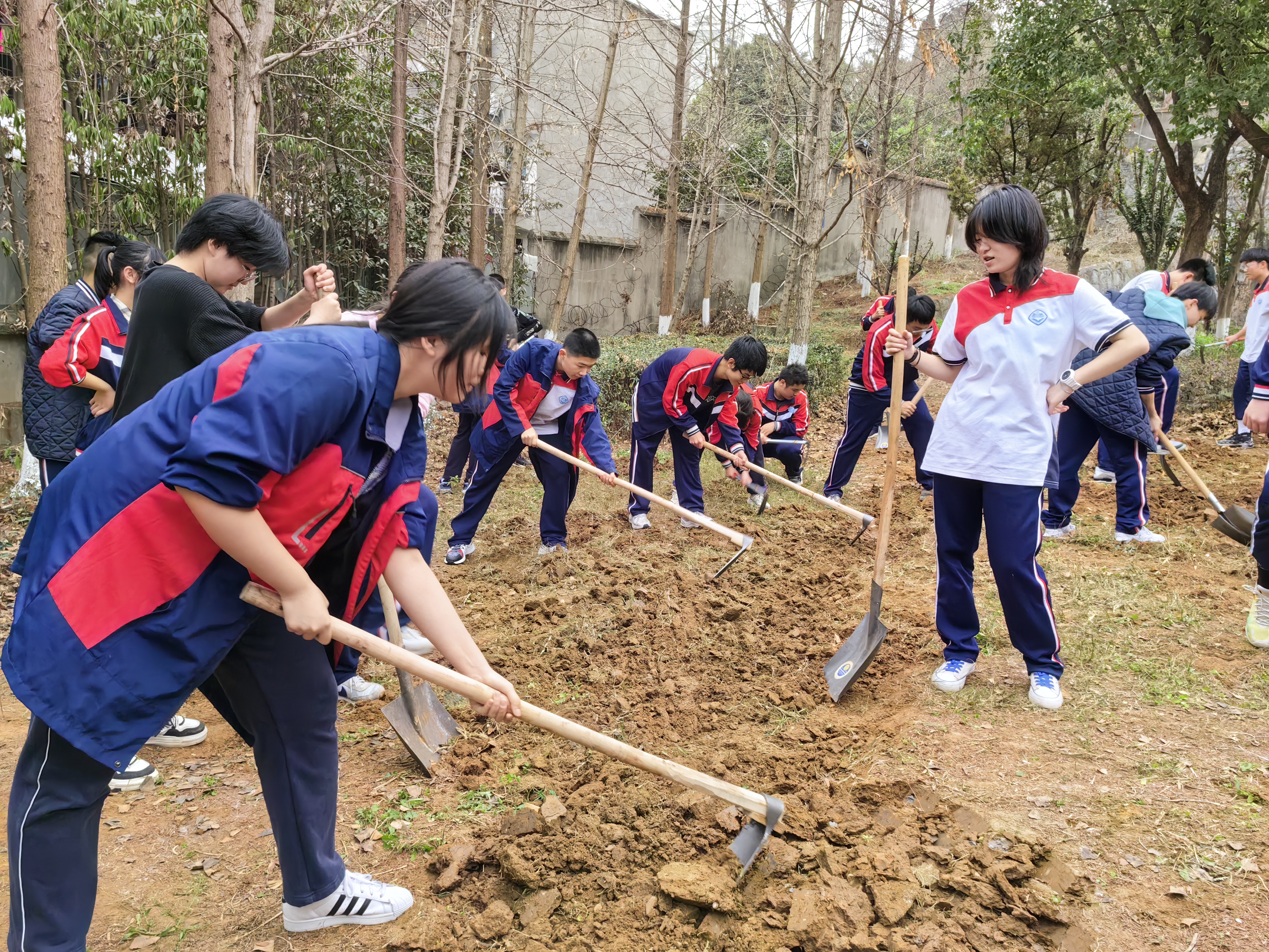 05a19f6d85e8cd518f08a489e0f8cf3e